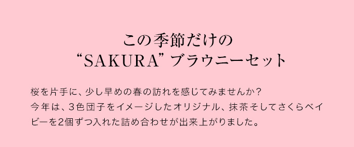 この時期だけの限定ブラウニーを詰め合わせました