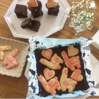公式 ブラウニー専門店 Fat Witch Bakery ブラウニーミックス粉 Fat Witch Bakery Japan